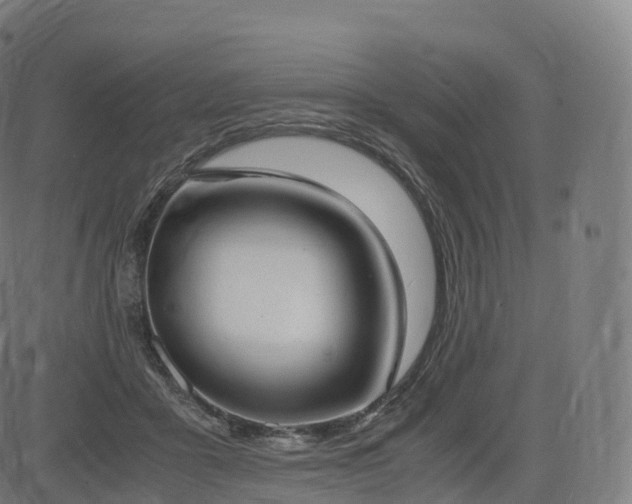 X0000085250411200703091303