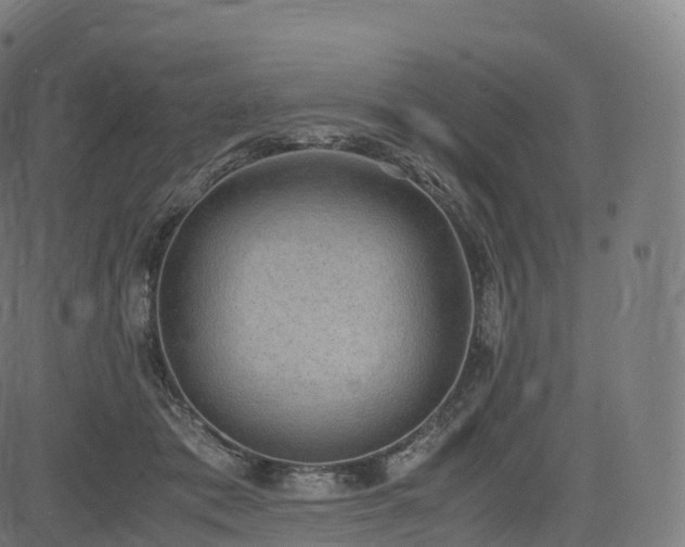 X0000085250413200703091303