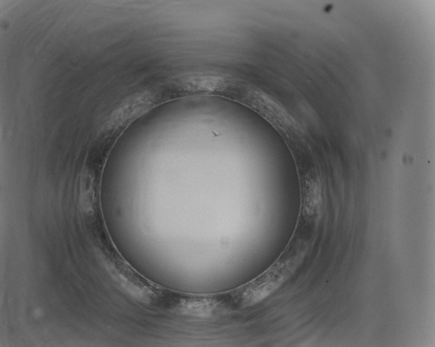 X0000085250414200703091303