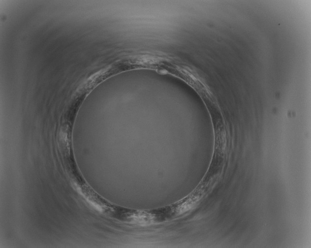 X0000085250415200703091303