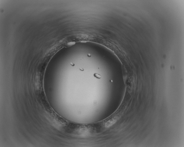 X0000085250416200703091303