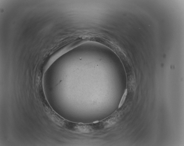 X0000085250417200703091303