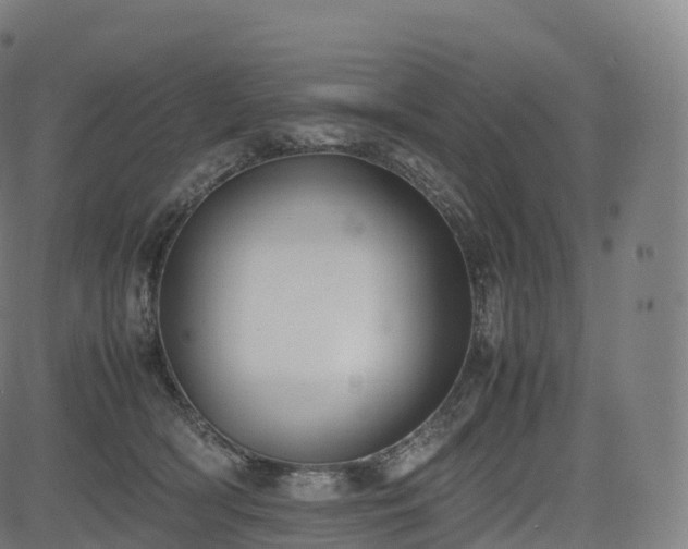 X0000085250418200703091303