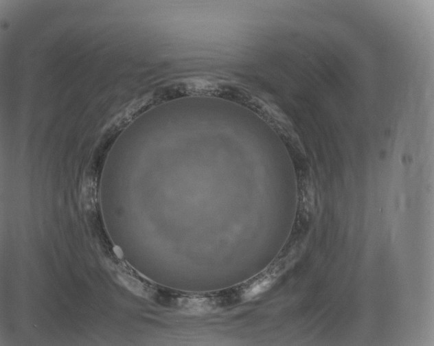 X0000085250419200703091303