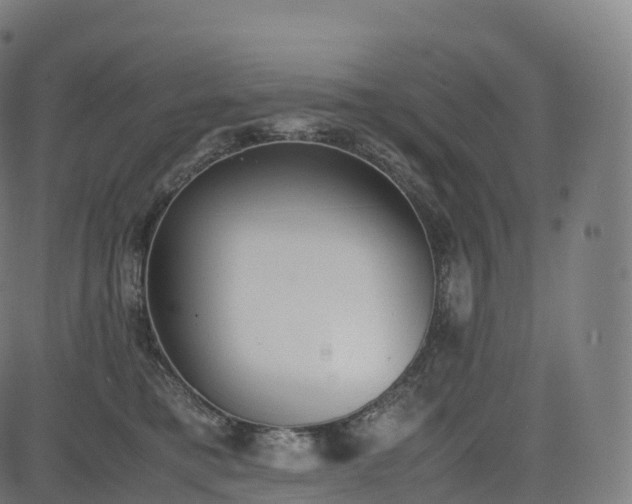 X0000085250421200703091303