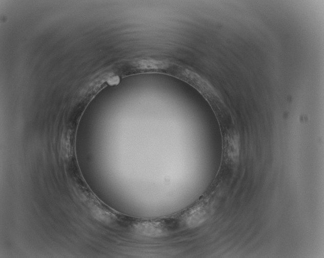 X0000085250422200703091303