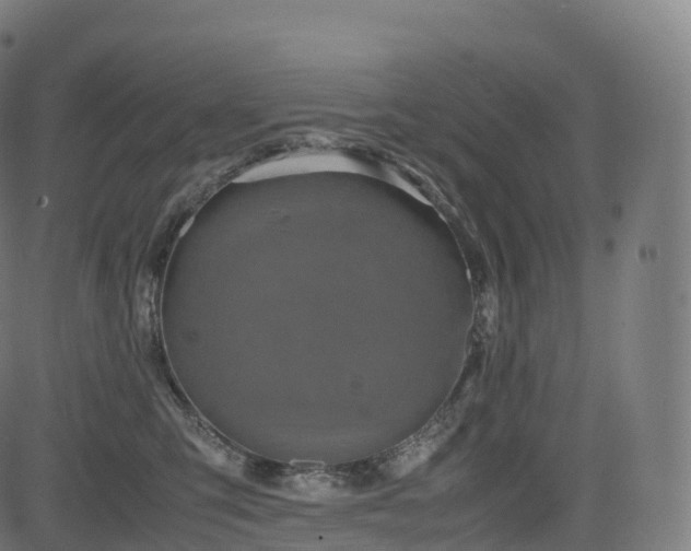 X0000085250423200703091303