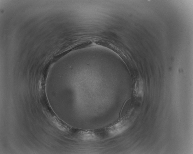 X0000085250424200703091303