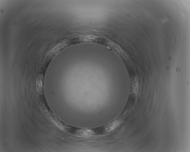 X0000085250427200703091303