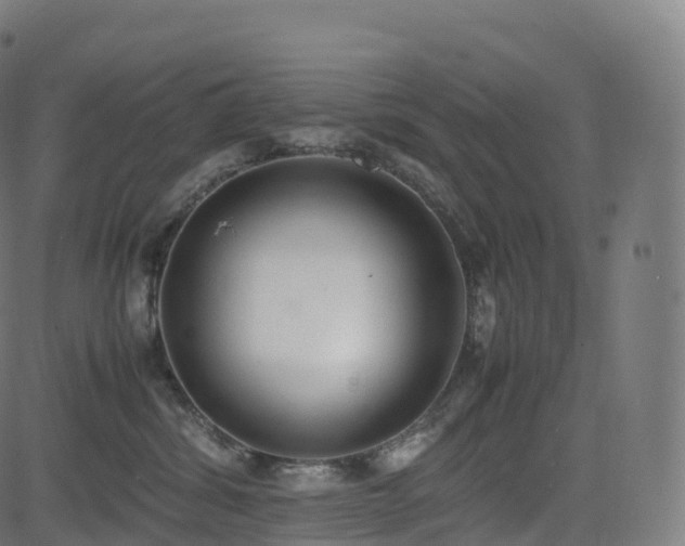 X0000085250428200703091303