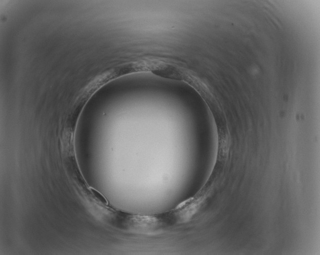 X0000085250429200703091303