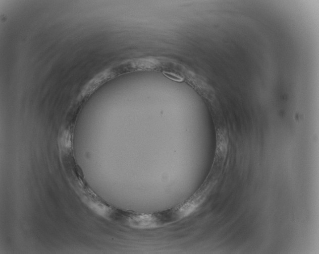 X0000085250431200703091303