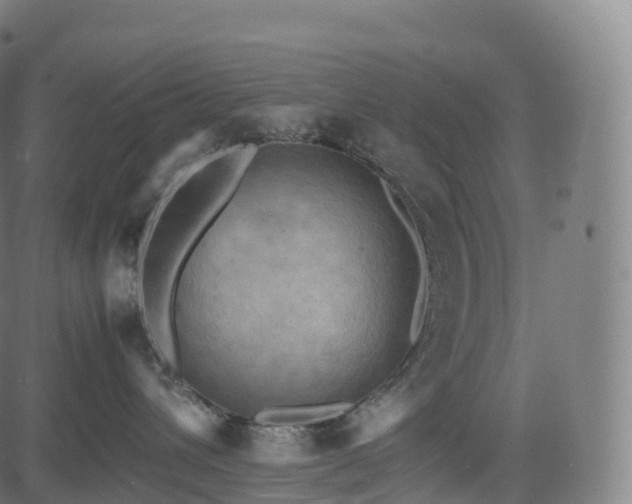 X0000085250432200703091303