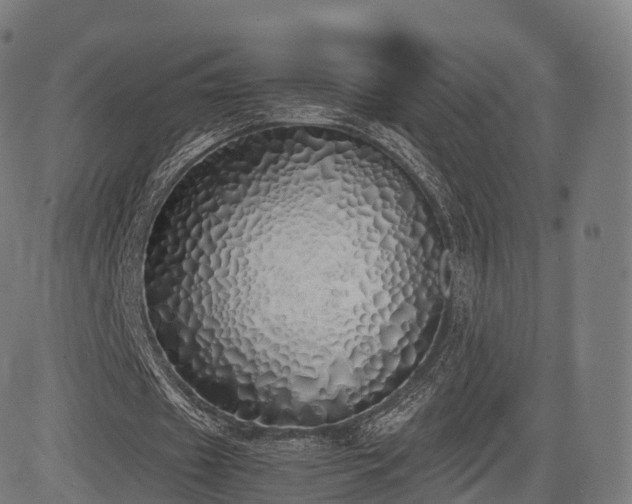 X0000085250433200703091302