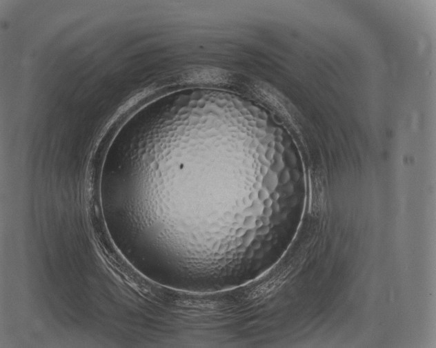 X0000085250435200703091302