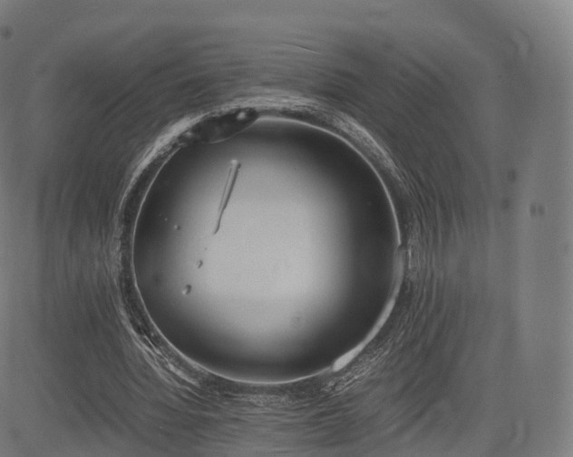 X0000085250436200703091302