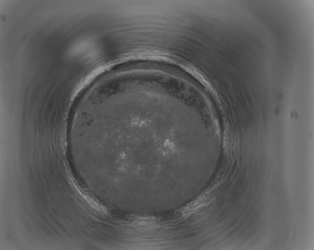 X0000085250438200703091302