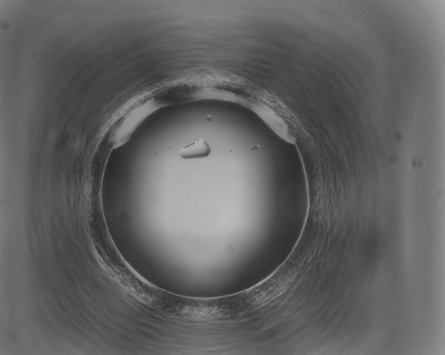 X0000085250440200703091302