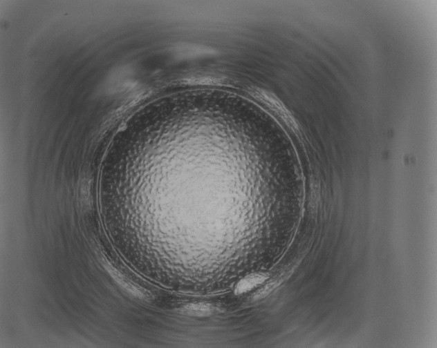 X0000085250441200703091302