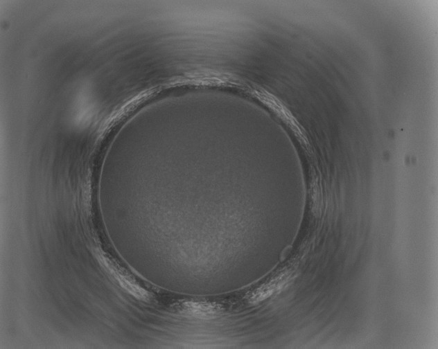 X0000085250442200703091302