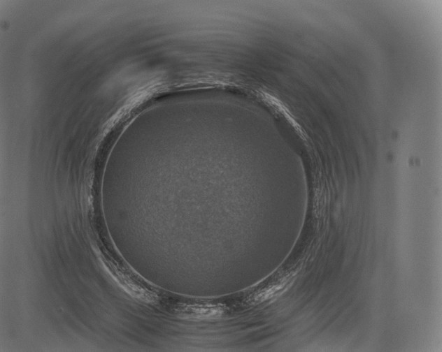 X0000085250443200703091302