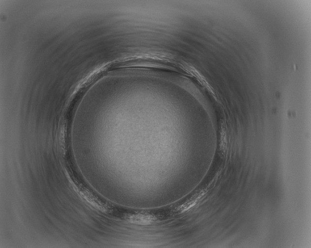 X0000085250444200703091302