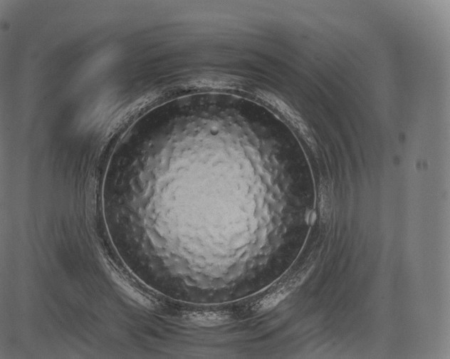 X0000085250445200703091302