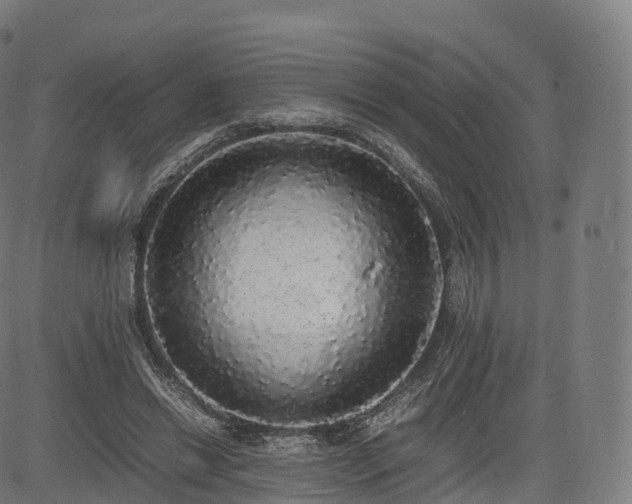 X0000085250446200703091302