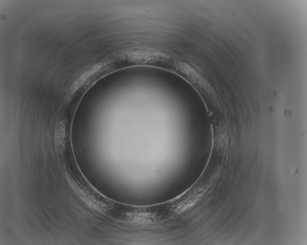 X0000085250448200703091302