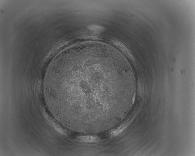 X0000085250449200703091302