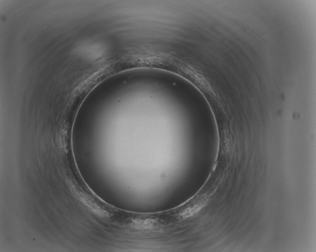 X0000085250450200703091302