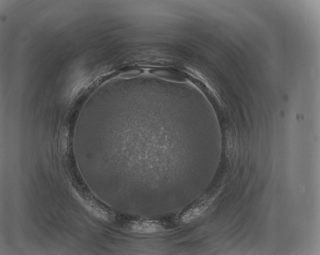 X0000085250451200703091302