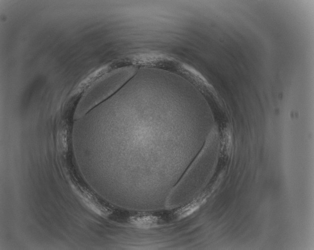 X0000085250452200703091302