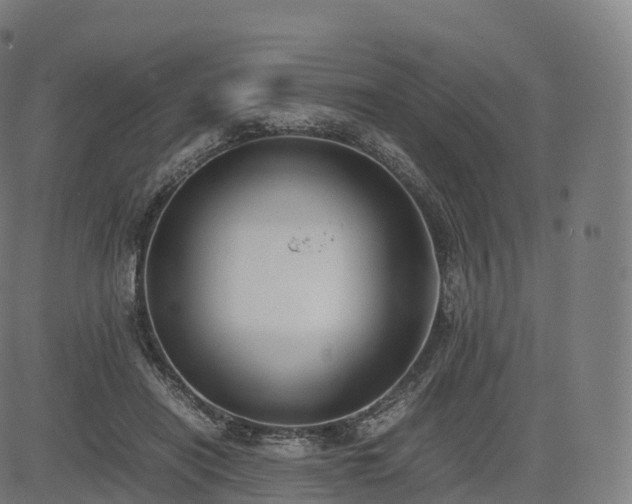 X0000085250454200703091302