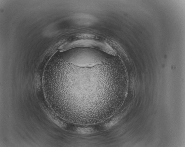 X0000085250457200703091302