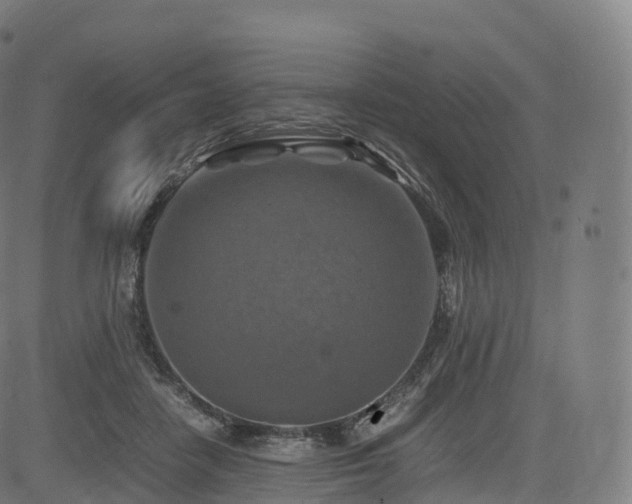 X0000085250458200703091302