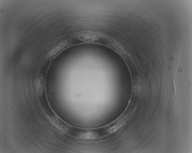 X0000085250460200703091302