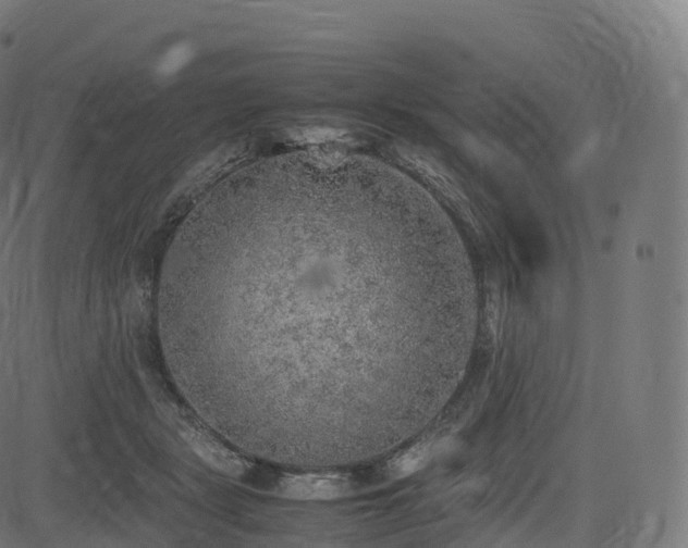 X0000085250461200703091302