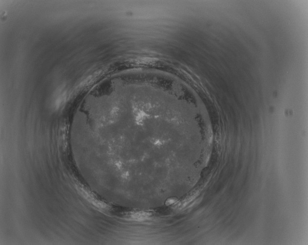 X0000085250462200703091302