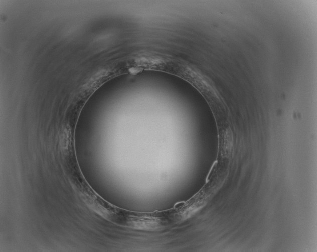 X0000085250463200703091302