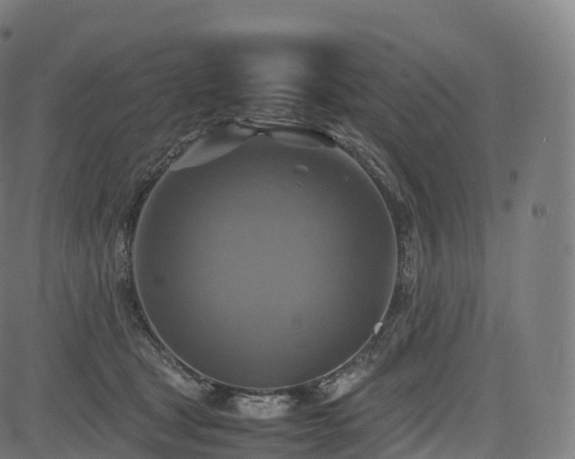 X0000085250465200703091302