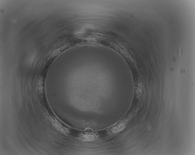 X0000085250466200703091302