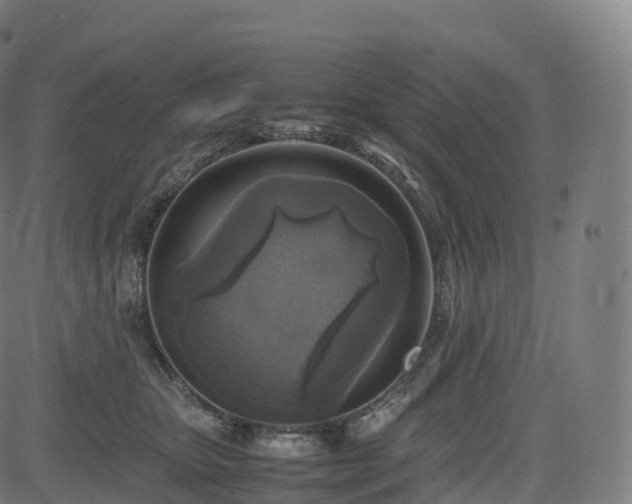 X0000085250467200703091302