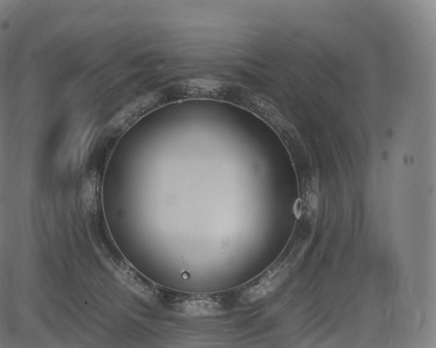 X0000085250468200703091302