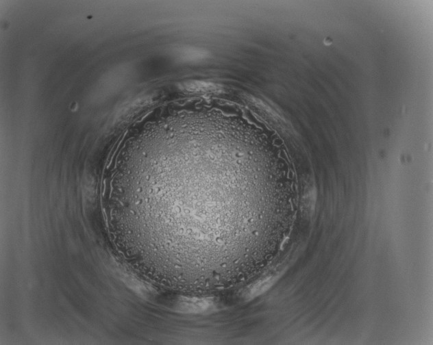 X0000085250469200703091302