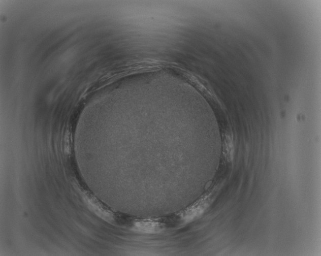 X0000085250470200703091302