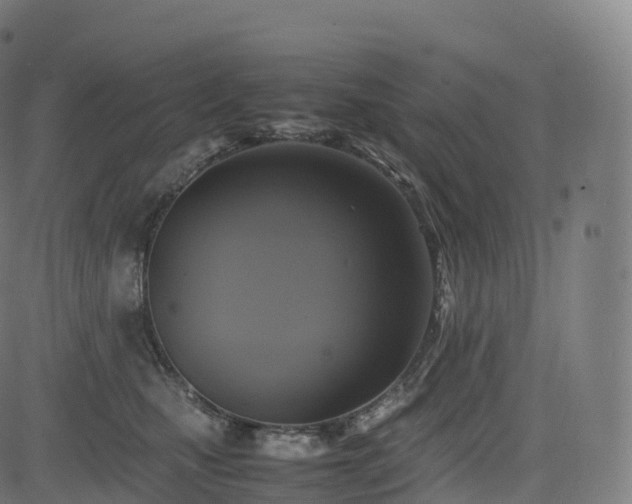 X0000085250471200703091302