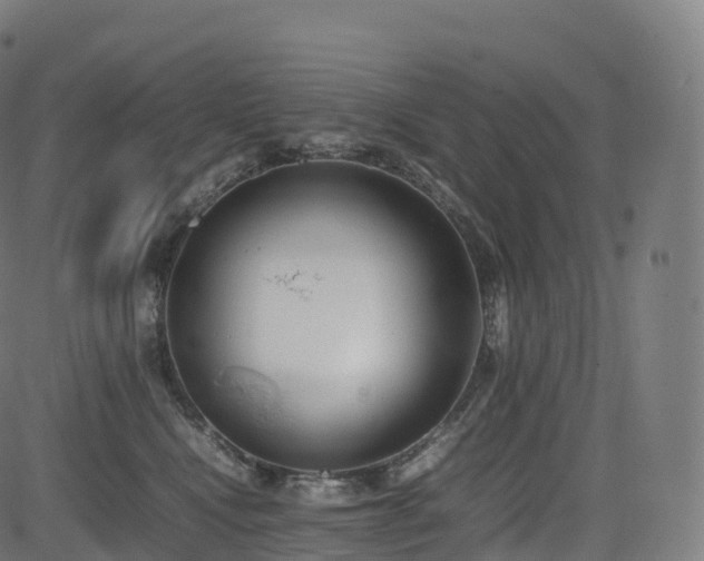 X0000085250472200703091302