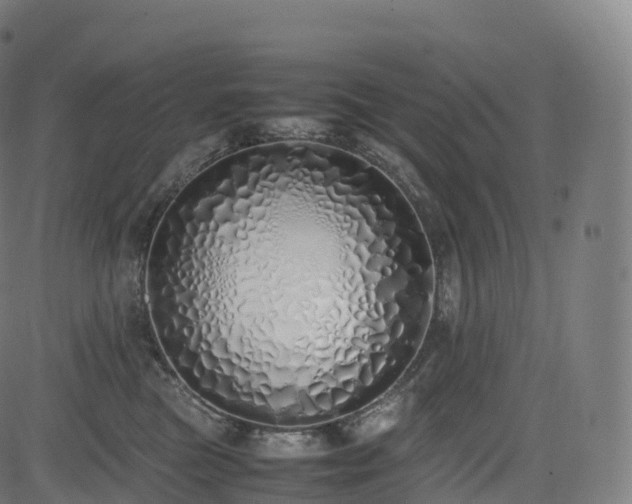 X0000085250473200703091302