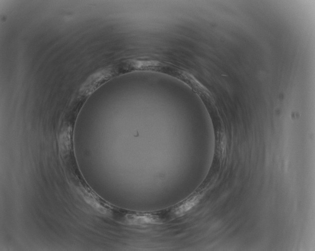 X0000085250475200703091302